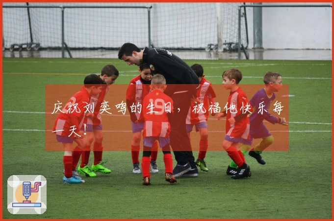 庆祝刘奕鸣的生日，祝福他快乐每一天！