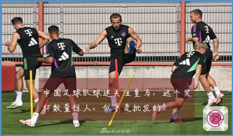 中国足球队球迷关注皇马，这个奖杯数量惊人，似乎是批发的！